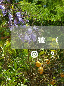  被網(wǎng)上平臺騙走的錢還能追回嗎？